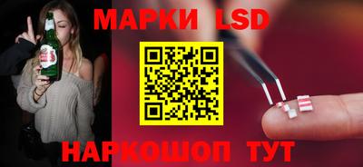 apvp Нальчик
