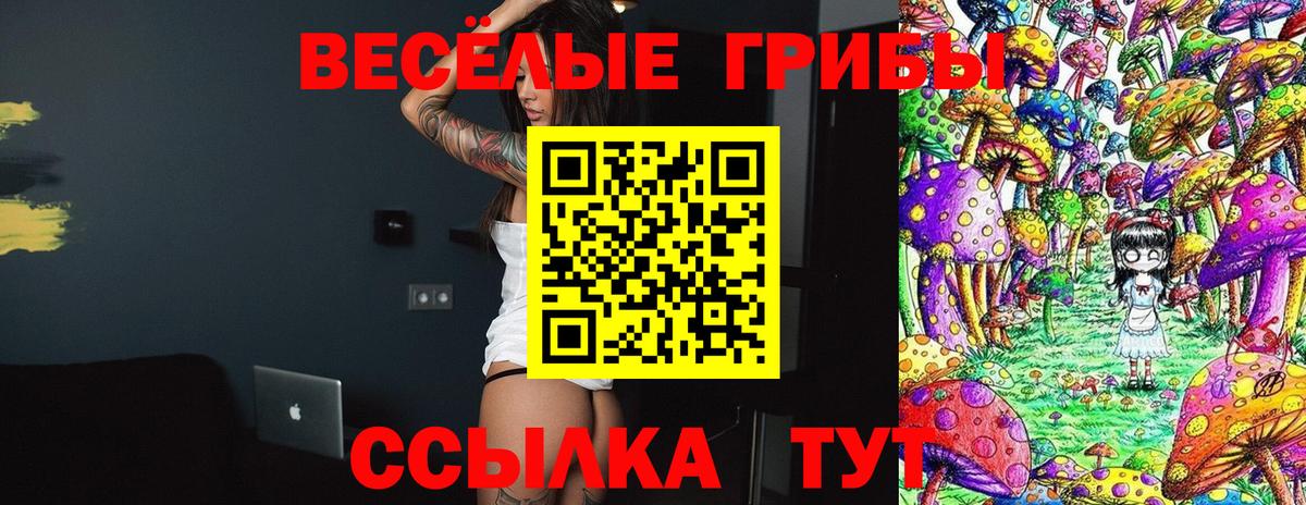 продажа наркотиков  Челябинск  Галлюциногенные грибы Psilocybe 