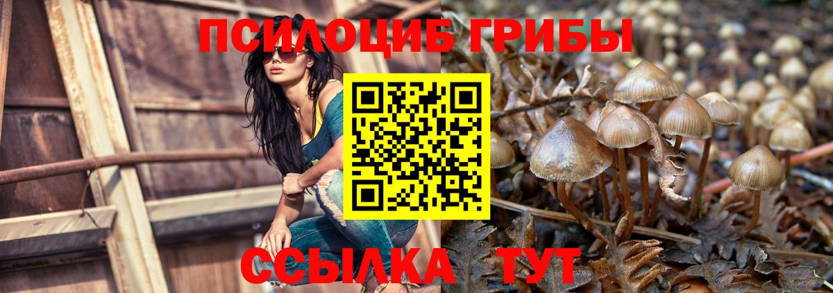Галлюциногенные грибы Psilocybine cubensis  Вход с VPN  цены   Челябинск  Псилоцибиновые грибы мицелий 